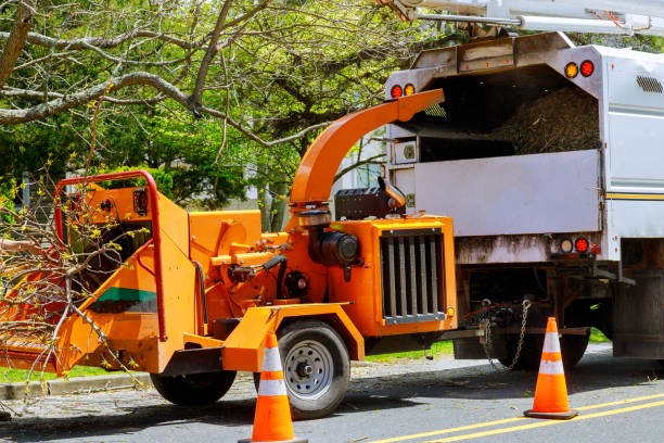 Best Hazardous Tree Removal  in Nixon, TX